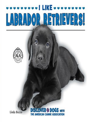 I Like Labrador Retrievers! - ebook